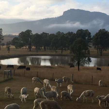 Starline Alpacas Farmstay Resort Broke Exterior photo