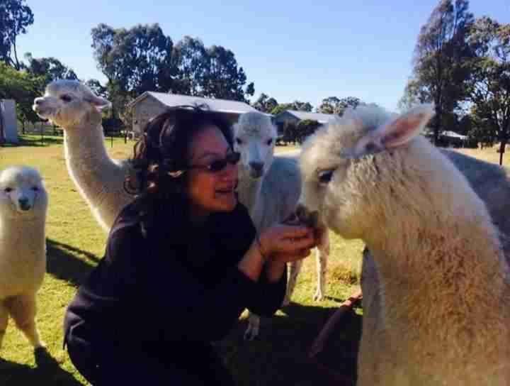 Starline Alpacas Farmstay Resort Broke Exterior photo