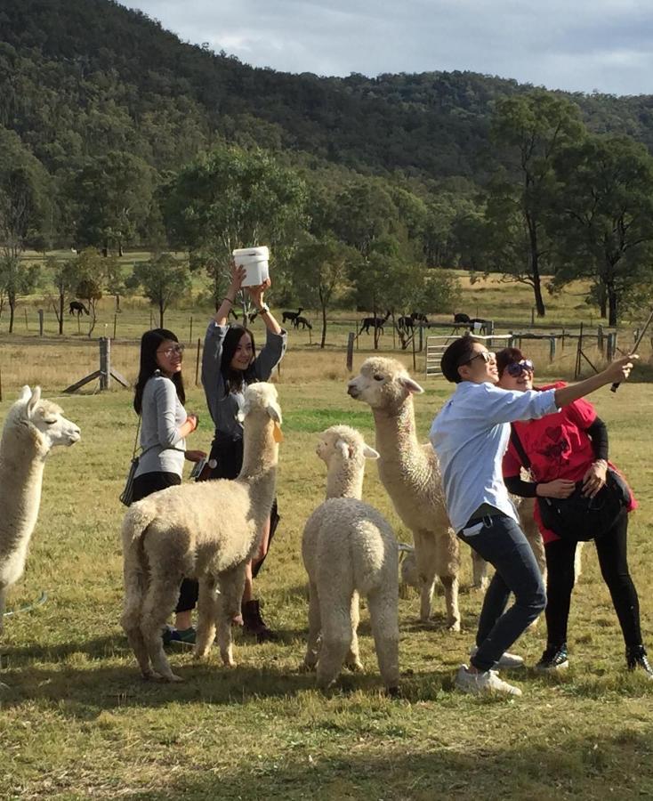 Starline Alpacas Farmstay Resort Broke Exterior photo