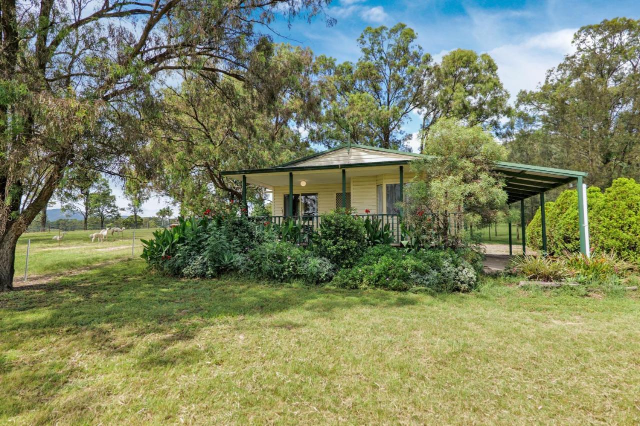 Starline Alpacas Farmstay Resort Broke Exterior photo