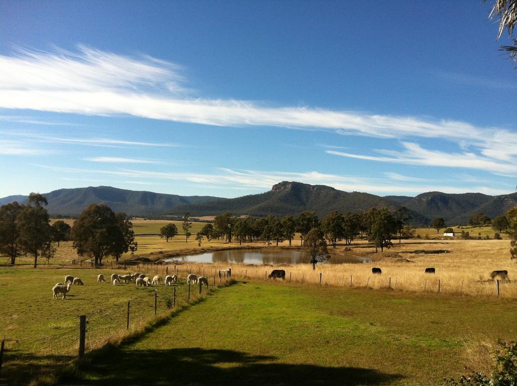 Starline Alpacas Farmstay Resort Broke Exterior photo