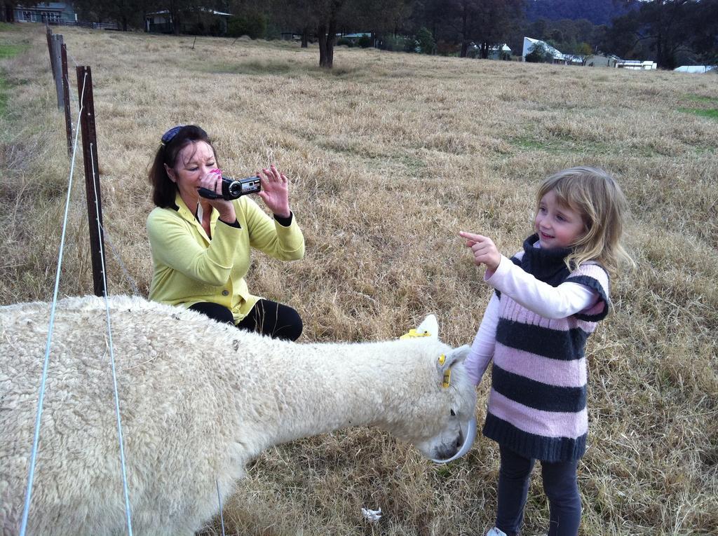 Starline Alpacas Farmstay Resort Broke Exterior photo